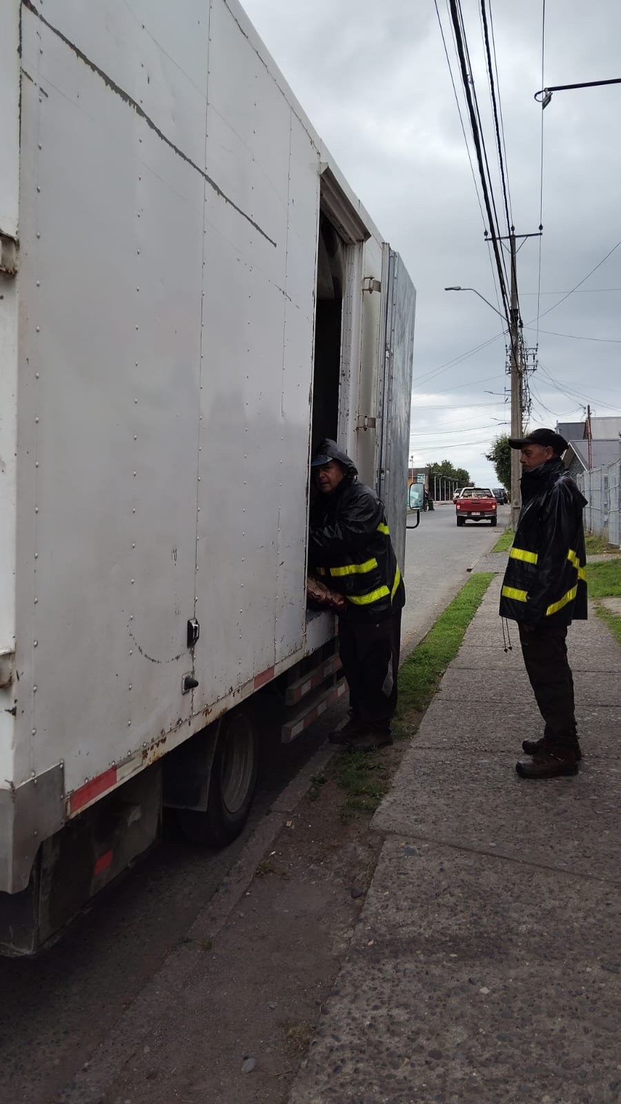Trabajo en terreno 12
